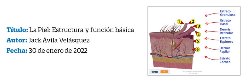 gamificacion ciencias de la salud